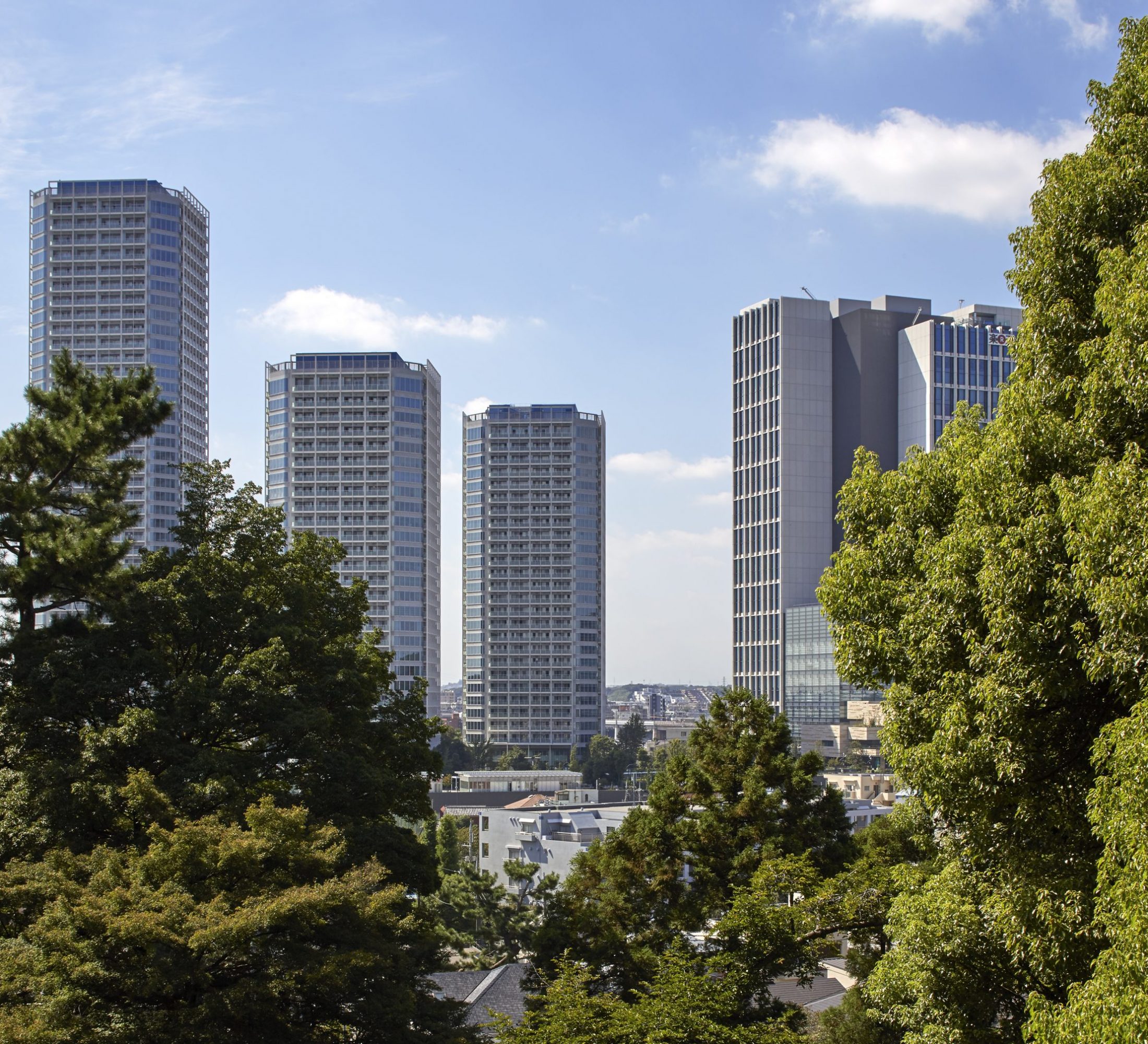 Conran and Partners_Futako Tamagawa_Photography by Edward Sumner (3)